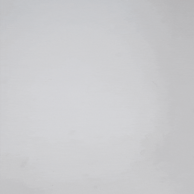 Olora The Everyday Thong 6 Pack