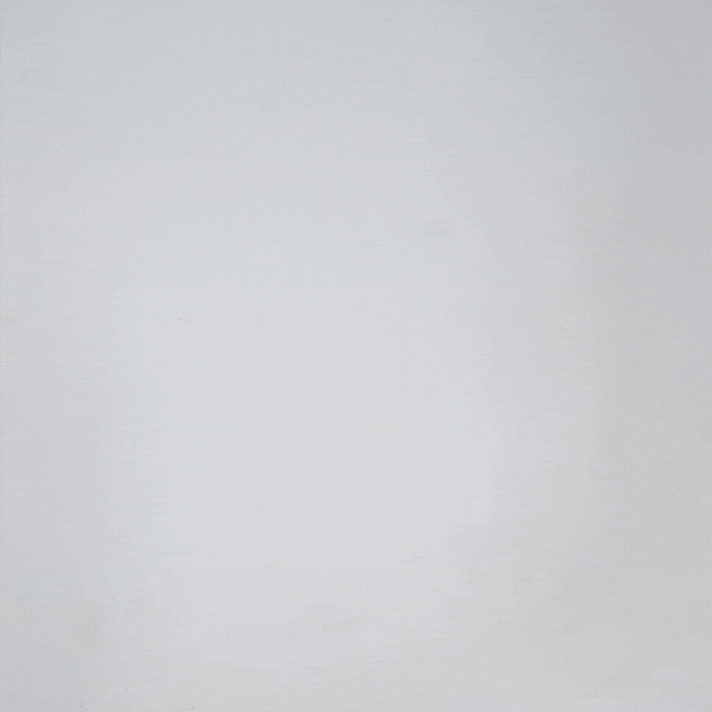 Olora The Everyday Thong 6 Pack