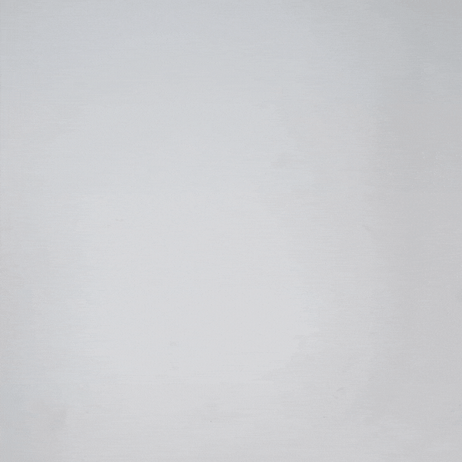 Olora The Everyday Thong 6 Pack